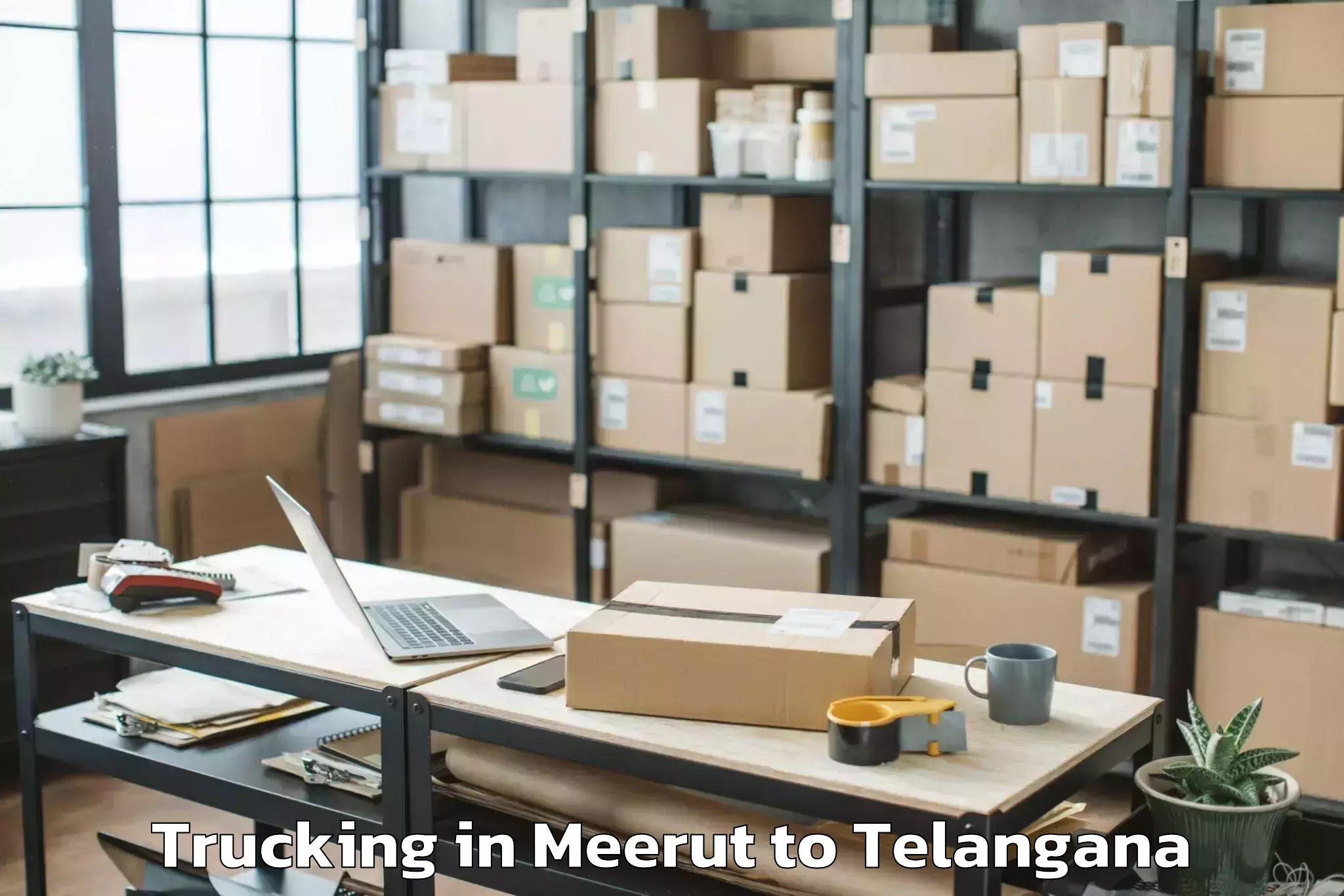 Top Meerut to Hyderabad Pharma City Trucking Available